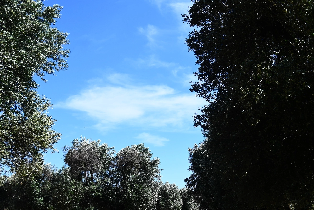 La nostra missione